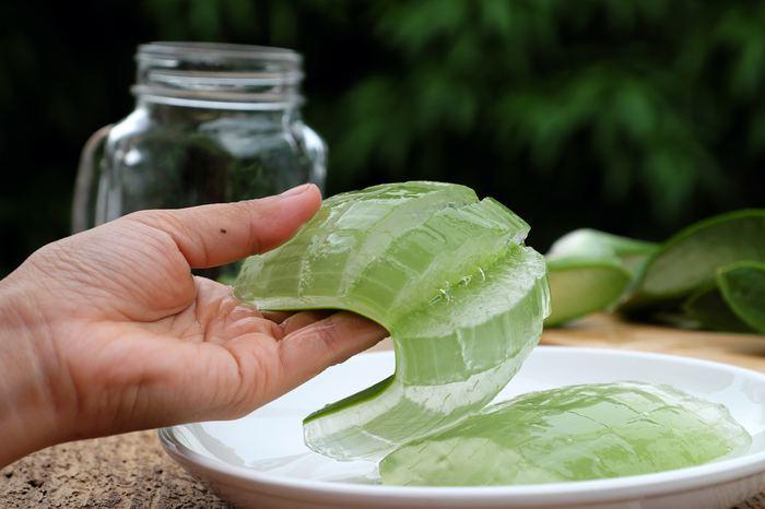 ALOE VERA BİTKİSİNİN FAYDALARI NELERDİR?