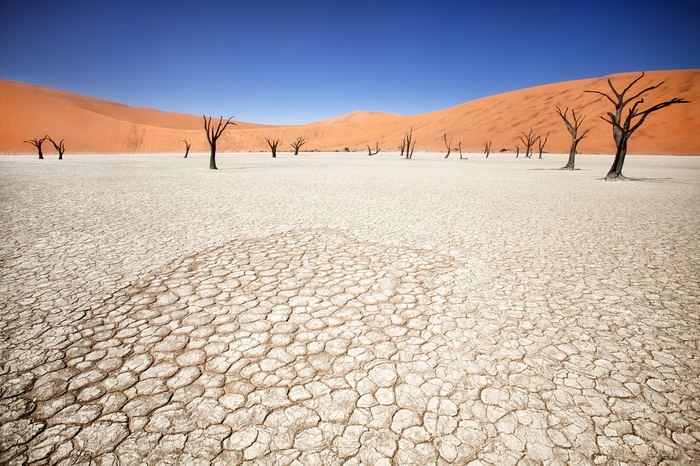 11- Deadvlei