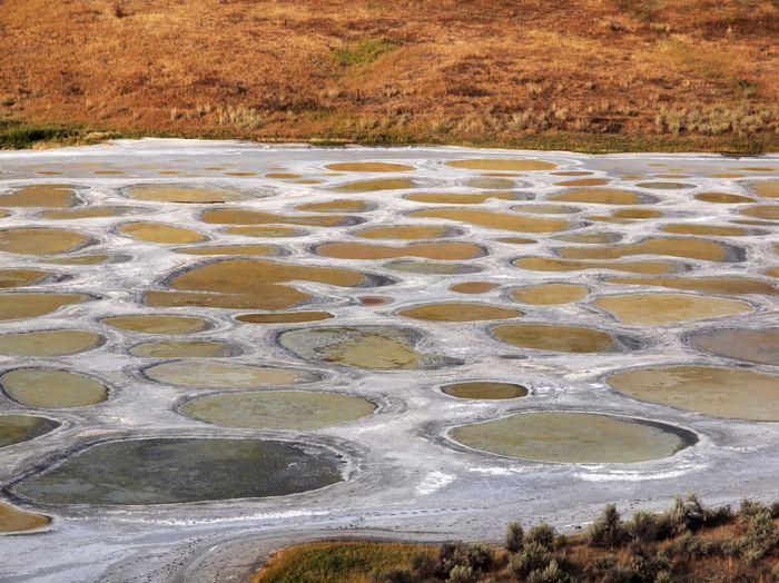 18- Spotted Lake, Kanada