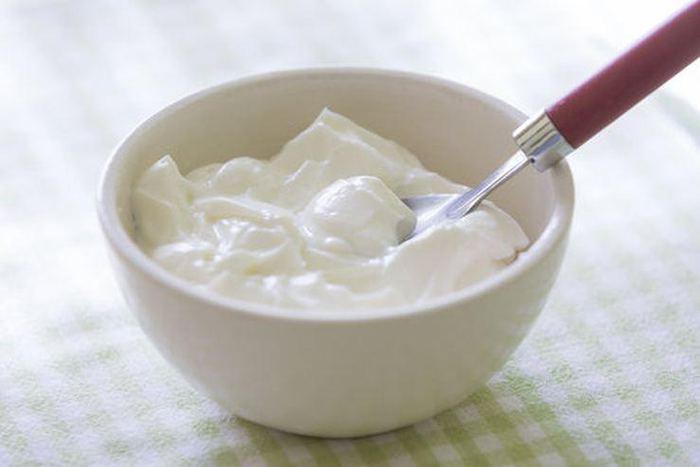Gaz ve şişkinlik giderici yoğurt tarifi için malzemeler: