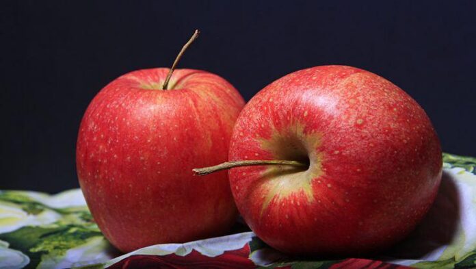 Elma hangi mevsimde ve ayda yetişir? Elma ne zaman yenir?
