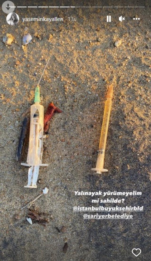 Kilyos Sahili'ndeki ölmüş yunus balığını ve atıkları gören Yasemin Kay Allen, belediyelere öfke kustu