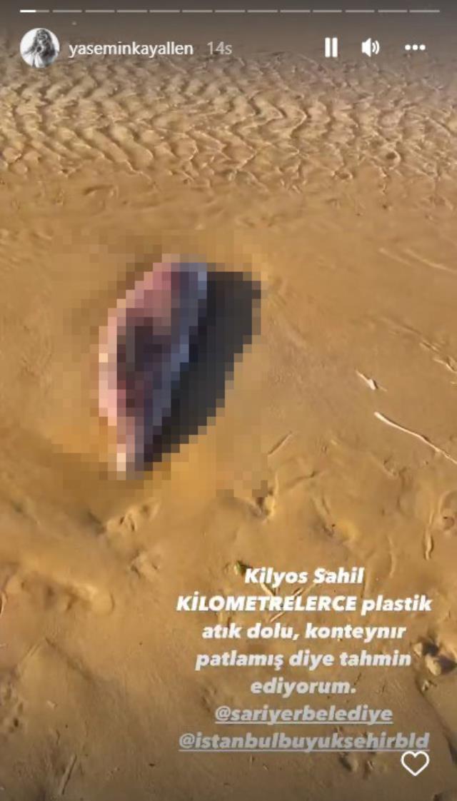 Kilyos Sahili'ndeki ölmüş yunus balığını ve atıkları gören Yasemin Kay Allen, belediyelere öfke kustu