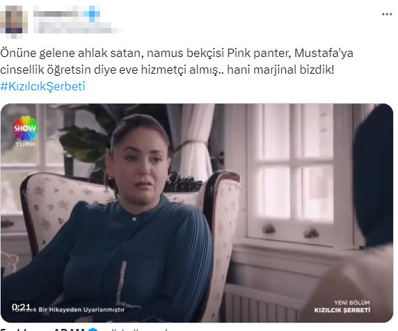 Kızılcık Şerbeti dizisinde tepki çeken sahne! Pembe, oğlu cinsel hayatı öğrensin diye eve kadın çalışan almış
